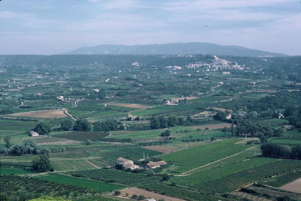 Le Tilleul لاكوست المظهر الخارجي الصورة